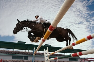 equestrian sport. young girl rides on horse on championship.