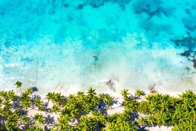 top aerial drone view of beautiful beach with turquoise sea water and palm trees. saona island, dominican republic. paradise tropical island nature background