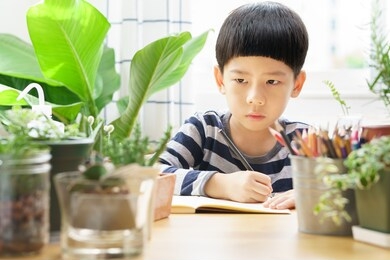 cute young asian child look at plants with concentration and observation. he draw and journal development of succulents and cactus. montessori sensory skills & nature education concept.