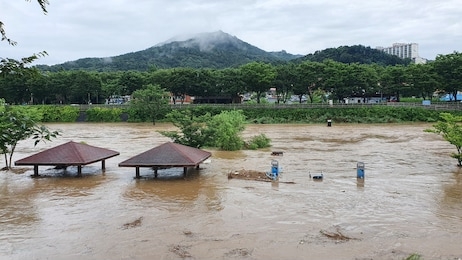 on july 29, 2020 the heavy rain caused the jeonju stream to overflow in jeonju, south korea.