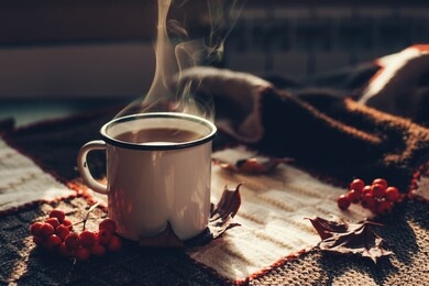 hot steaming cup of coffee or tea with fall leaves and spices on a warm plaid on a bright sunny day. autumn mood. front view.