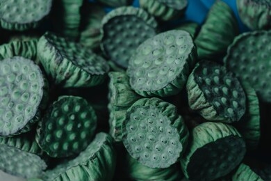 lotus seeds background, lotus fresh lotus and lotus seeds