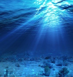 underwater landscape and backdrop with algae 