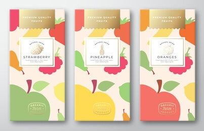 dried fruits label packaging design layout collection. vector paper box with fruit and berries pattern background cover. modern typography and hand drawn pineapple, strawberry and oranges. isolated.