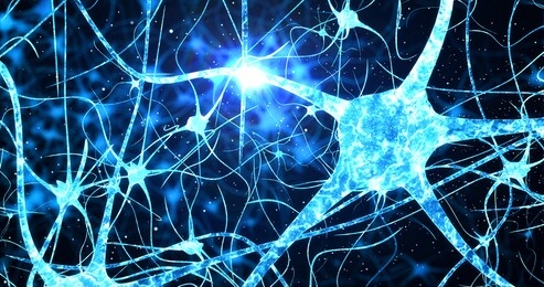 neurons and neural connections 3d render. neuronal activity in the brain, neurogenesis, neurotransmitters, electricity in the brain,synapses, dendrid, neurotransmitters, myelin
