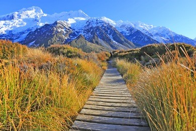 bridge to the mountain in mt. cook national park, new zealand 