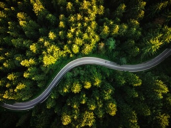winding curvy road trough forest. aerial drone top down view. wilderness landscape.