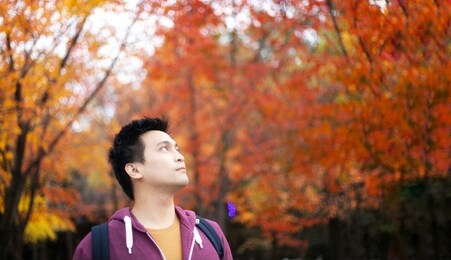 middle aged man admire the colorful scenic autumn leaves and pleasure in the park at japan new year trip 2021. vacation travel concept. blur selective focus and copy space background.