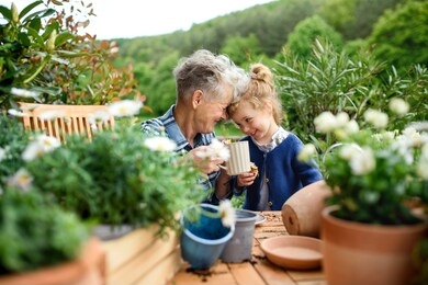 senior grandmother with small granddaughter gardening on balcony in summer, resting.
