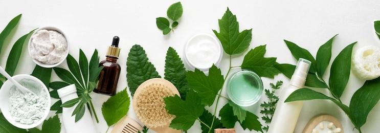 natural eco beauty. cosmetic products and green leaves on white background, top view, banner. natural organic skincare, spa, healthy lifestyle concept.