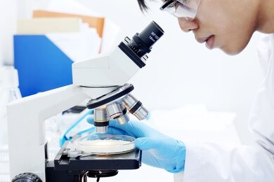 rice under the microscope. 
scientists are testing rice in laboratory. develop medicine and foods.