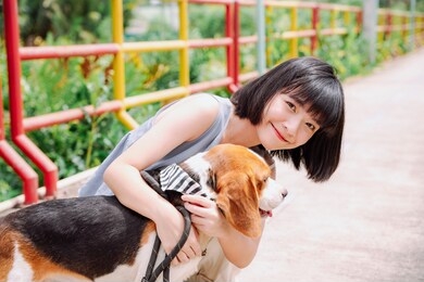 beautiful asian thai short hair woman petting beagle dog with love. walk the dog.