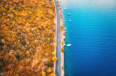 aerial view of road in beautiful orange forest and boats in the sea at sunset in autumn. colorful landscape with asphalt roadway, blue water, trees in fall. top view of road along the sea coast
