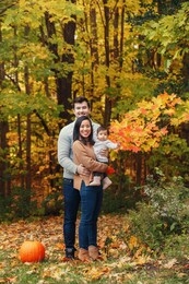 asian chinese mother and caucasian father dad with baby girl in autumn park outdoor. family walking posing in fall forest with red pumpkin. halloween or thanksgiving holiday.