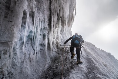 mountaineer with crampons climbs margherita peak over glacier along icicles 