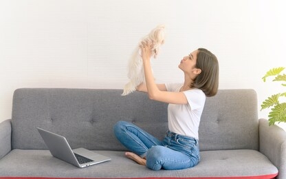 beautiful young asian woman working on sofa at home with her maltese dog, cheerful and nice couple with people and pet
