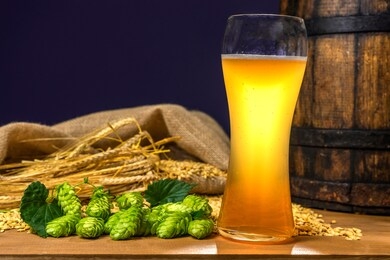 beer. still life with vintage beer barrel and glass light beer. fresh amber beer concept. green hop and gold barley on wooden table. ingredients for brewery. brewing traditions