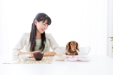 young asian woman and dog lifestyle image