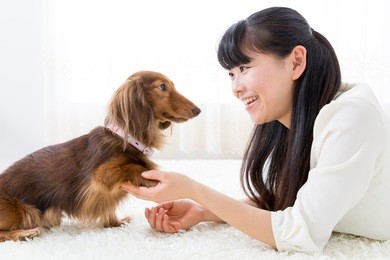 young asian woman and dog lifestyle image
