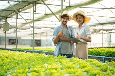 smart farm,sensor technology,smart agriculture concept.farmer and partner with tablet for working organic hydroponic vegetable garden at greenhouse in morning.copy space.