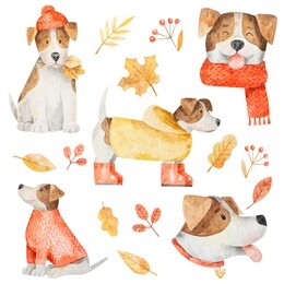 watercolor set of dogs jack russell in autumn clothes and yellow leaves. 