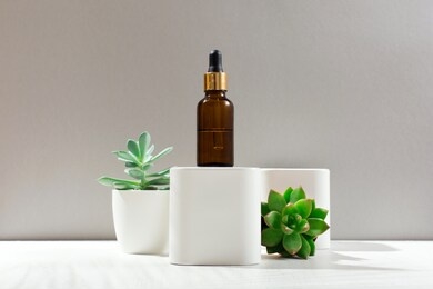cosmetic bottle with pipette on gray background, various cactus and succulent plants in white pot. mockup, copy space. cosmetic women eco-friendly natural skin care product on sunny tropical backdrop