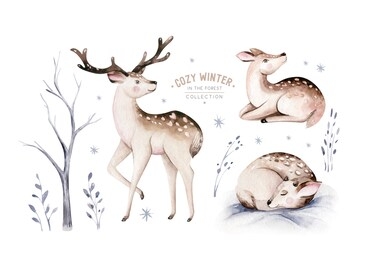 watercolor deer with fawn, rabbits, birds isolated on white background. wild forest animals set. hand painted winter illustration
