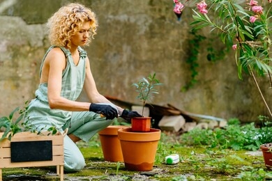 gorgeous female gardener in mint overalls create comfort in abandoned backyard. blond serene woman working planting flowers in garden at summer time. gardening, hobby, leisure concept.