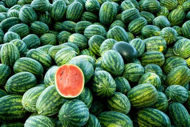 half watermelon one pice on lot of water melons, healthy eating. lots of juicy and ripe watermelons.