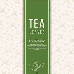 tea leaves line art background in hand drawn style vector. design for packaging, drink menu, aromatherapy and tea products. with place for text.