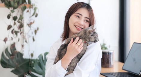 portrait of young beautiful asian woman playing with her cat while sitting at the table at home.