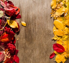 background of yellow and red autumn leaves that lie on an old wooden table