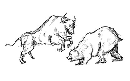 bear versus bull strong fighting market stock trend symbol hand drawn sketches white isolated background
