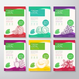 fresh local fruit and berries labels packaging design layout collection. vector background covers set. modern typography and hand drawn coconut, melon, grapes, cranberry and pomegranate. isolated.