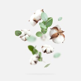 flying cotton flowers, green twigs of eucalyptus on light gray background. creative floral background with cotton, delicate flowers of fluffy cotton. flat lay flowers composition, greeting card