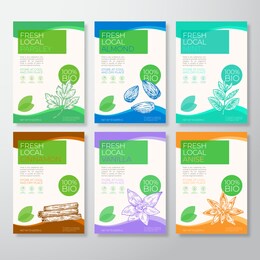 fresh local nuts and spices labels packaging design layout collection. vector background covers set. modern typography and hand drawn almond, cinnamon, vanilla, anise, mint and parsley. isolated.