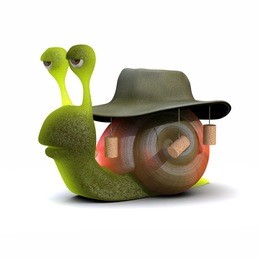 3d render of a snail wearing an australian bush hat with corks