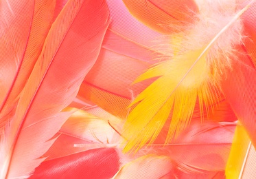 beautiful soft pink orange color trends feather pattern texture background