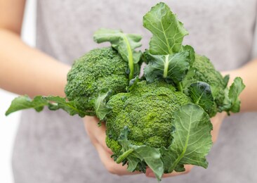 woman holding in hand a fresh green broccoli.