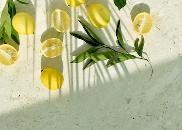 whole and cut lemons and leaves under shadow of palm tree leaf. top view