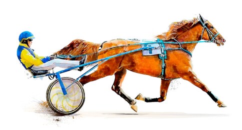 horse. equestrian sport. trotter race. jockey. harness racing. hippodrome. watercolor painting illustration.  isolated on white background
