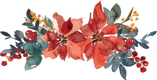 watercolor red poinsettia illustration isolated on white background