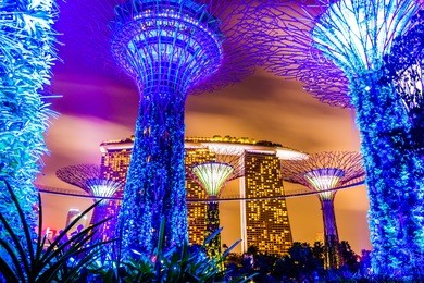 gardens by the bay - supertree grove in singapore