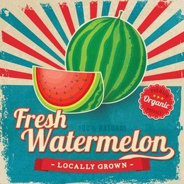 colorful vintage watermelon label poster vector illustration