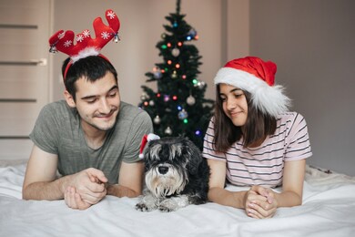 Сaucasian brother and sister lie on the bed with their little black dog zwergschnauzer on the background christmas tree at home.  new year congratulations concept. love pets. best view. family