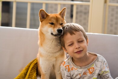 two hugging best friends portrait - boy and his shiba inu dog sit on the sofa on roof. friendship, love and relationship concept