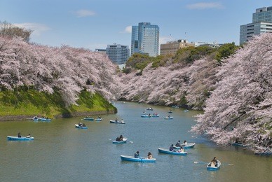 city park in tokyo, japan