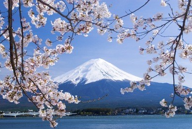 mount fuji, japan