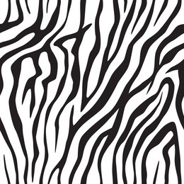 zebra stripes texture seamless background.