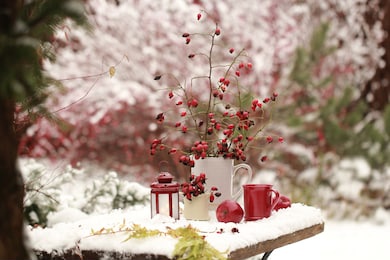 a bouquet of red rose and a mug of tea in the winter garden